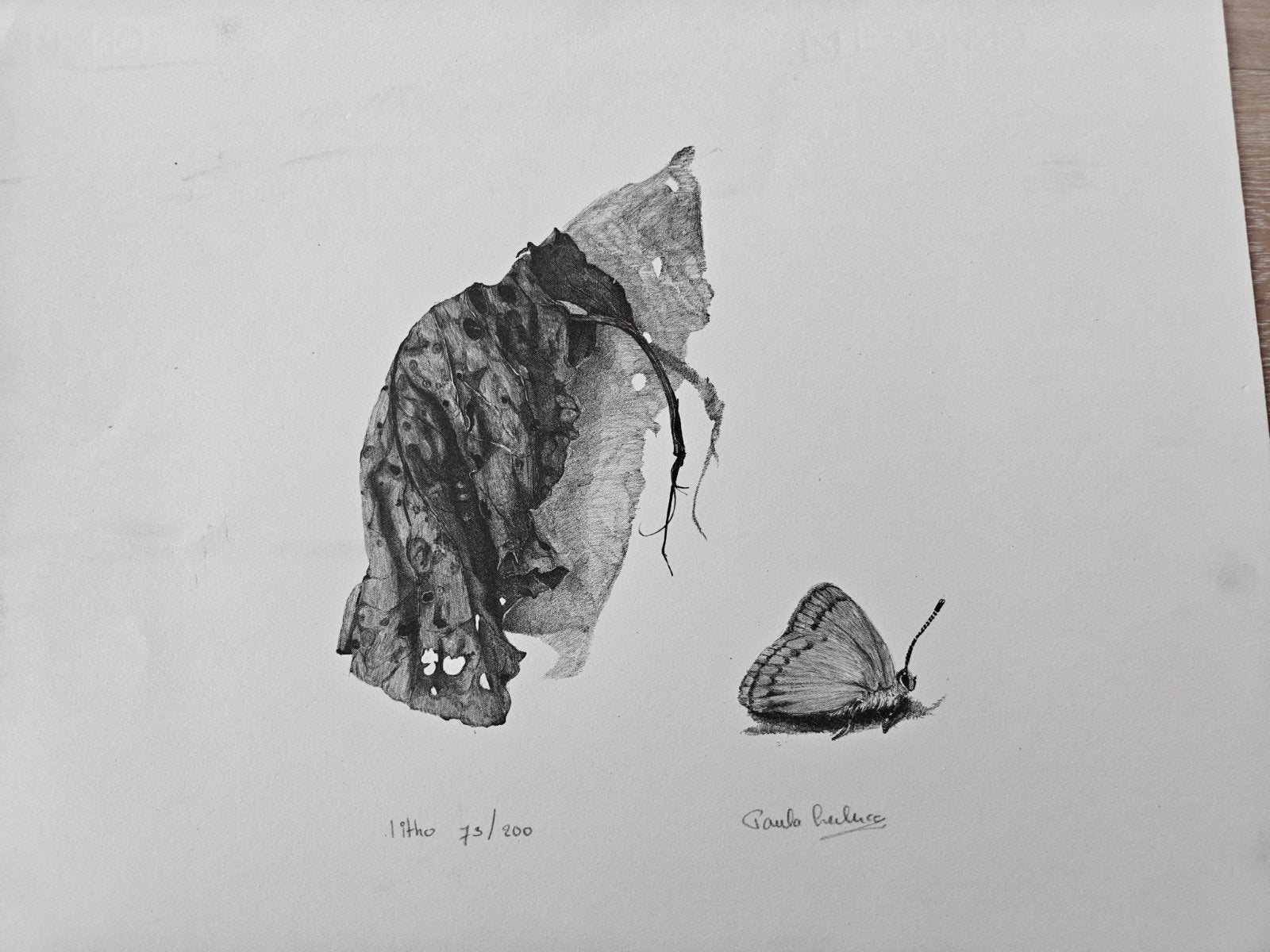 Litho van Paula Otten-Leclerq: Vlinder en blad, Antiek en Kunst, Ophalen