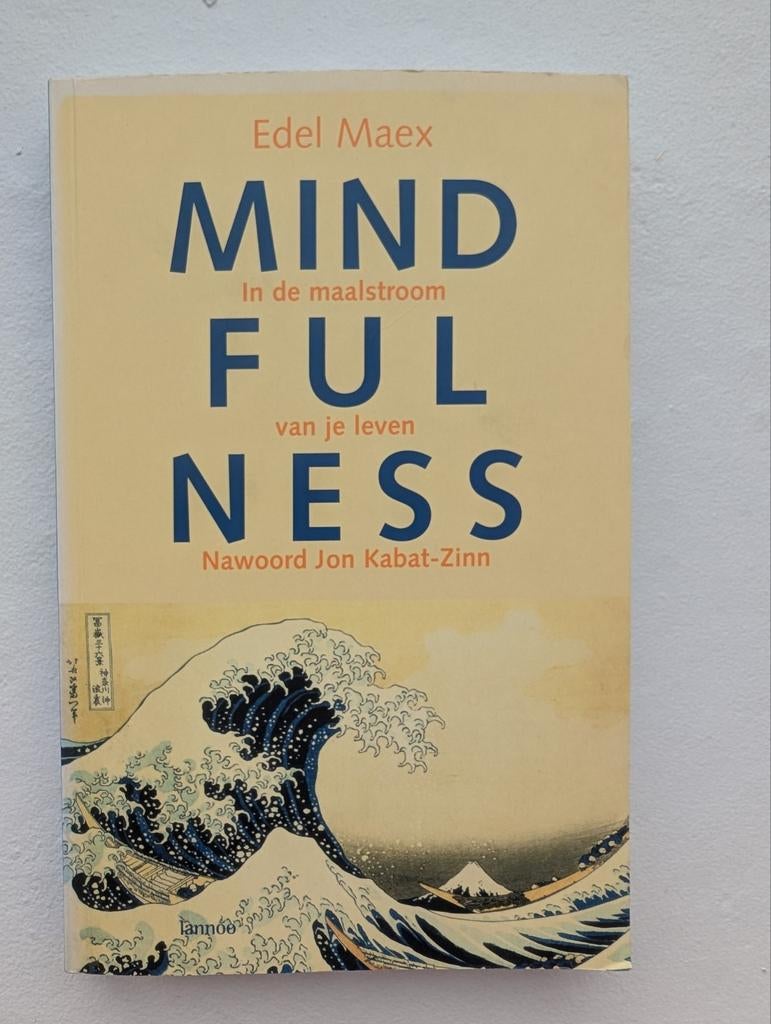 Edel Maex - Mindfulness, Zo goed als nieuw, Instructieboek, Overige onderwerpen, Edel Maex