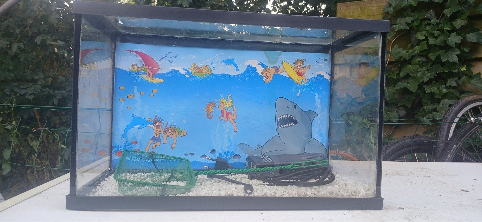Aquarium 40x20x25 cm compleet met accessoires, Dieren en Toebehoren, Vissen | Aquariumvissen, Vis, Zoetwatervis