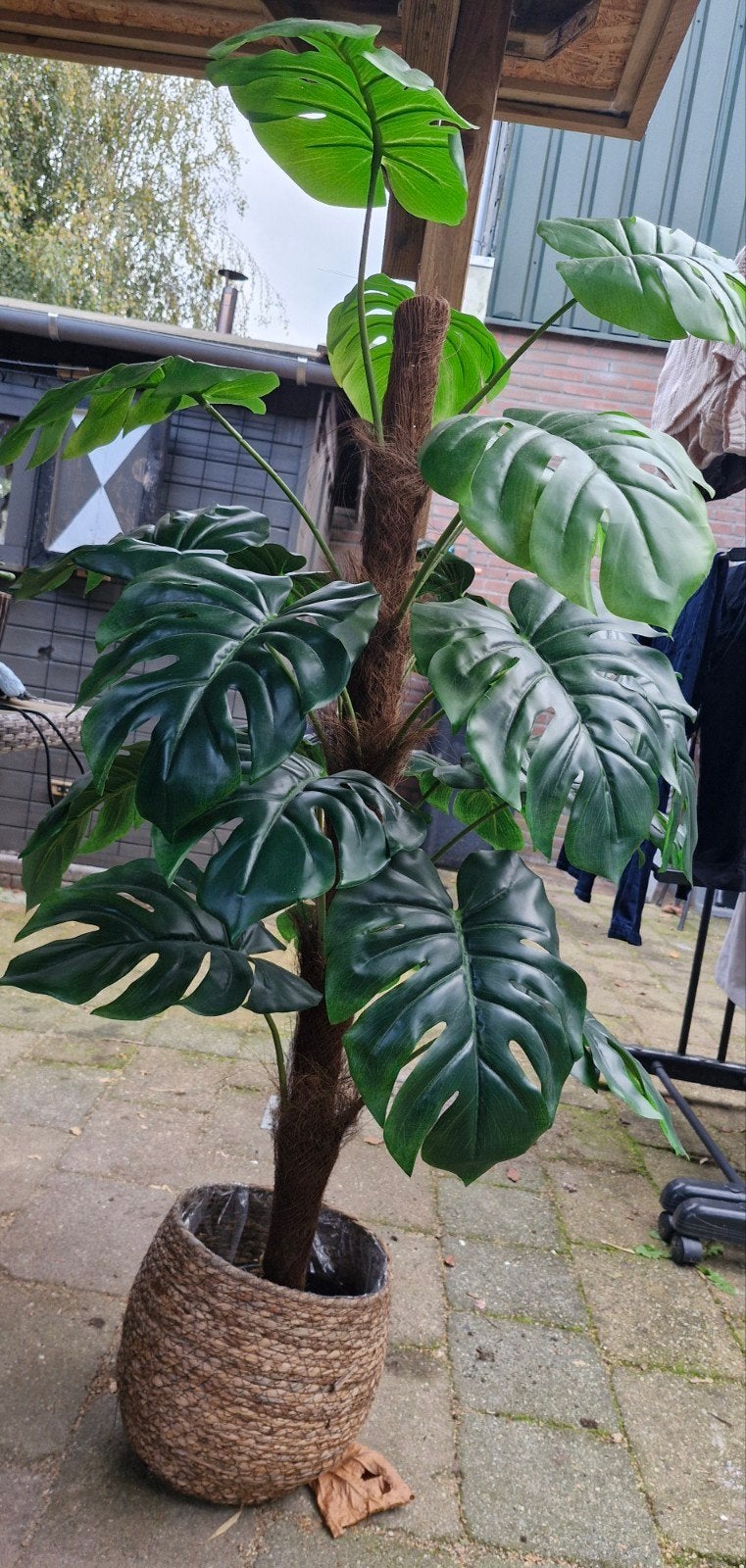Grote kunstplant Monstera 1.30m hoog, Ophalen, Groen, Met pot of vaas, Kunstplant