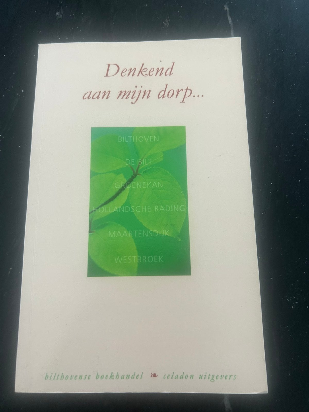 Bilthoven/De Bilt Denkend aan mijn dorp 2013, Ophalen of Verzenden, Zo goed als nieuw, Meerdere auteurs