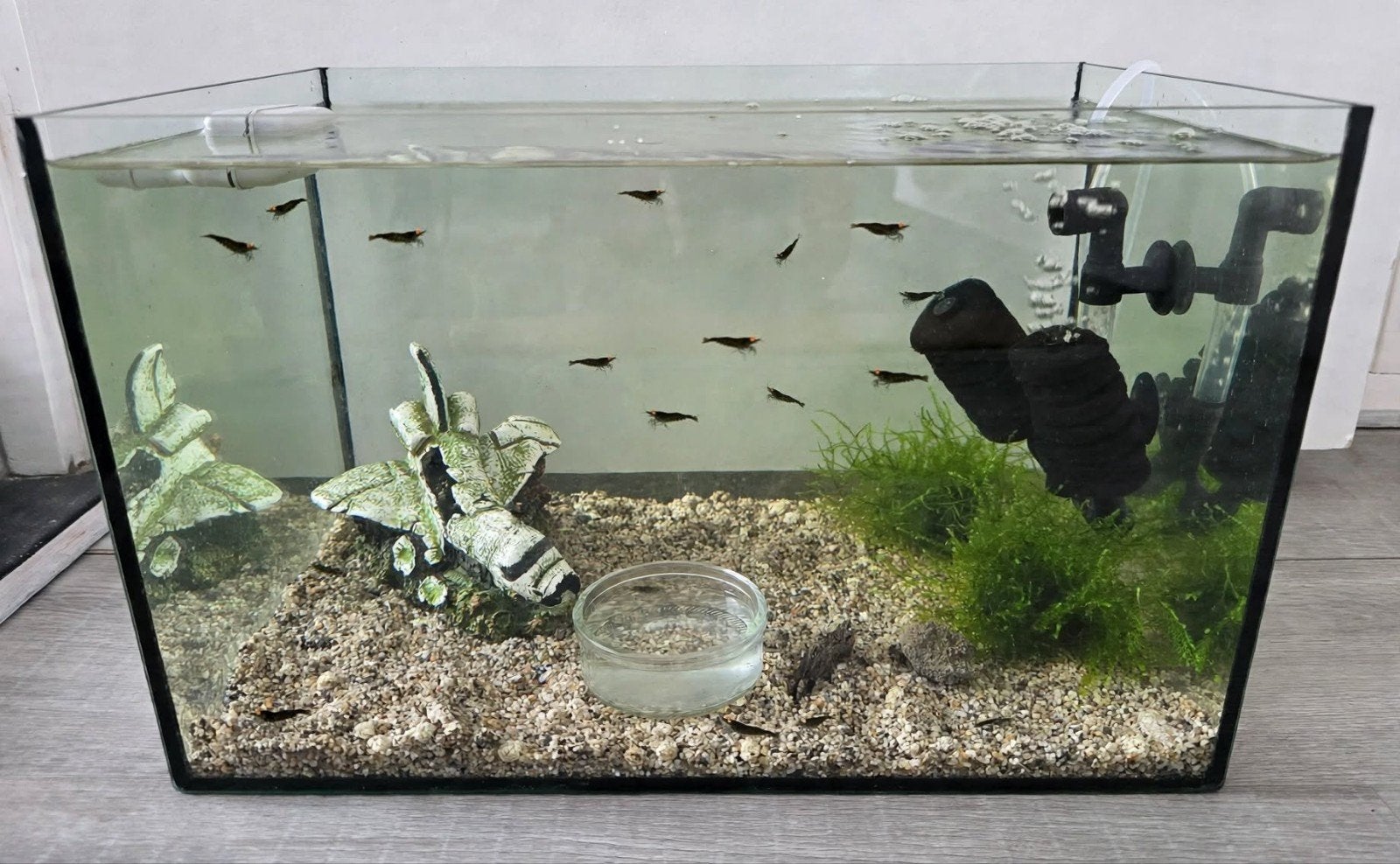 COMPLEET AQUARIUM MET 25 GARNALEN MET ORANJE OGEN(OE), Ophalen, Zo goed als nieuw, Gevuld zoetwateraquarium