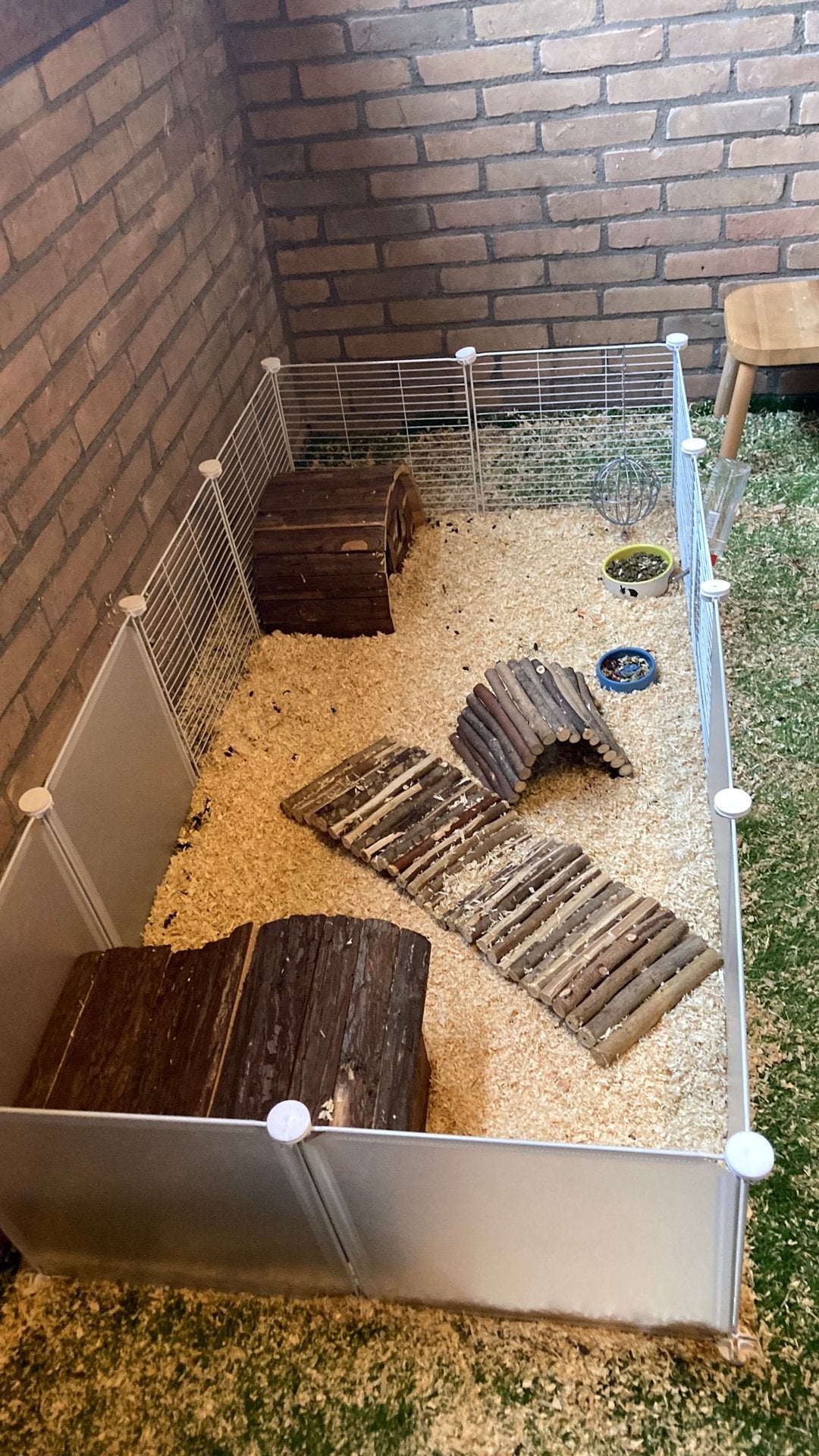 Hihi ik ben Bente en ik ben een opvang voor cavia’s!, Minder dan 60 cm, Kooi, 110 cm of meer, Ophalen of Verzenden