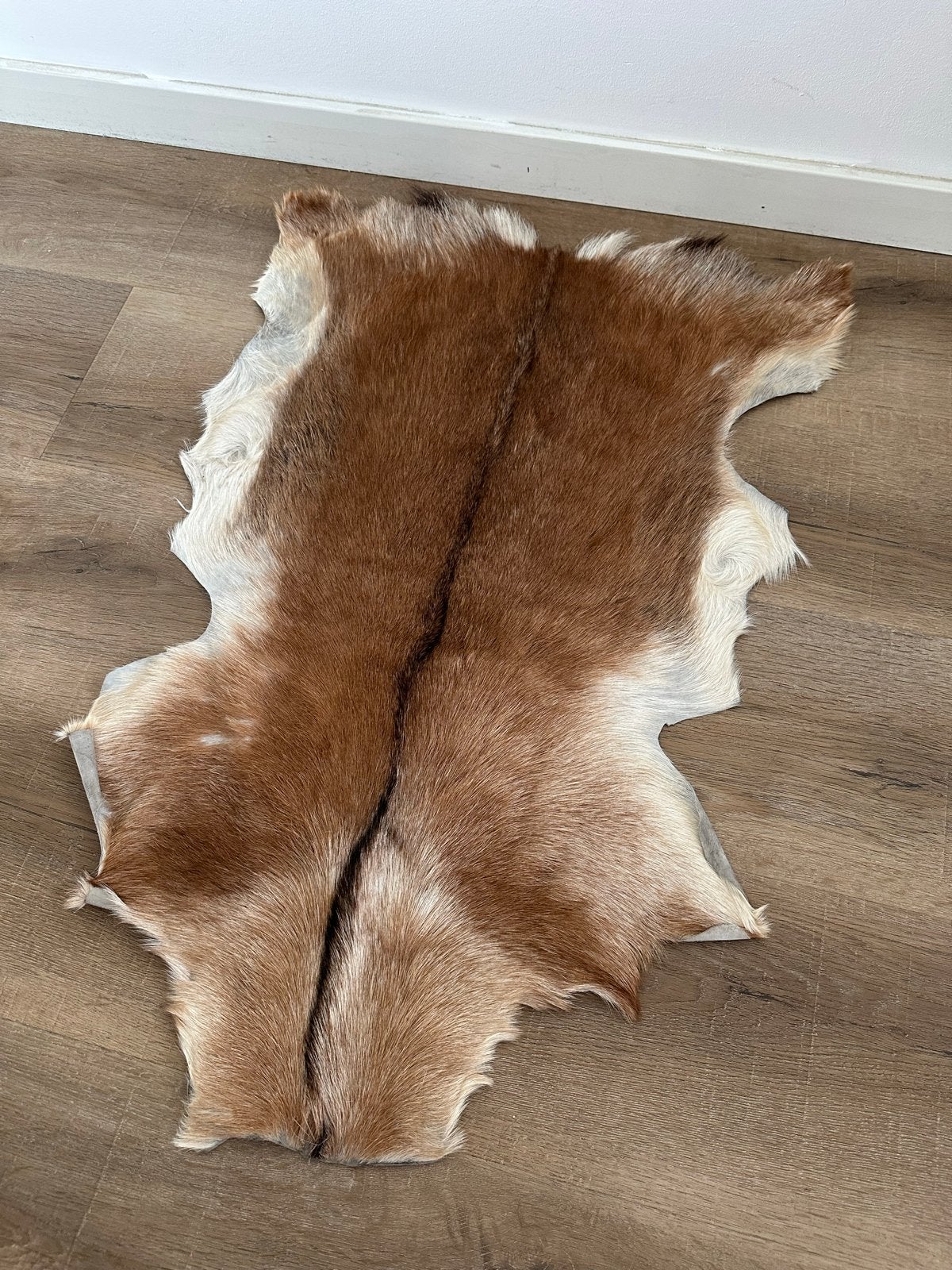 Decoratieve Dierenhuid/Vacht, Ophalen, Gebruikt, 50 tot 100 cm, Bruin