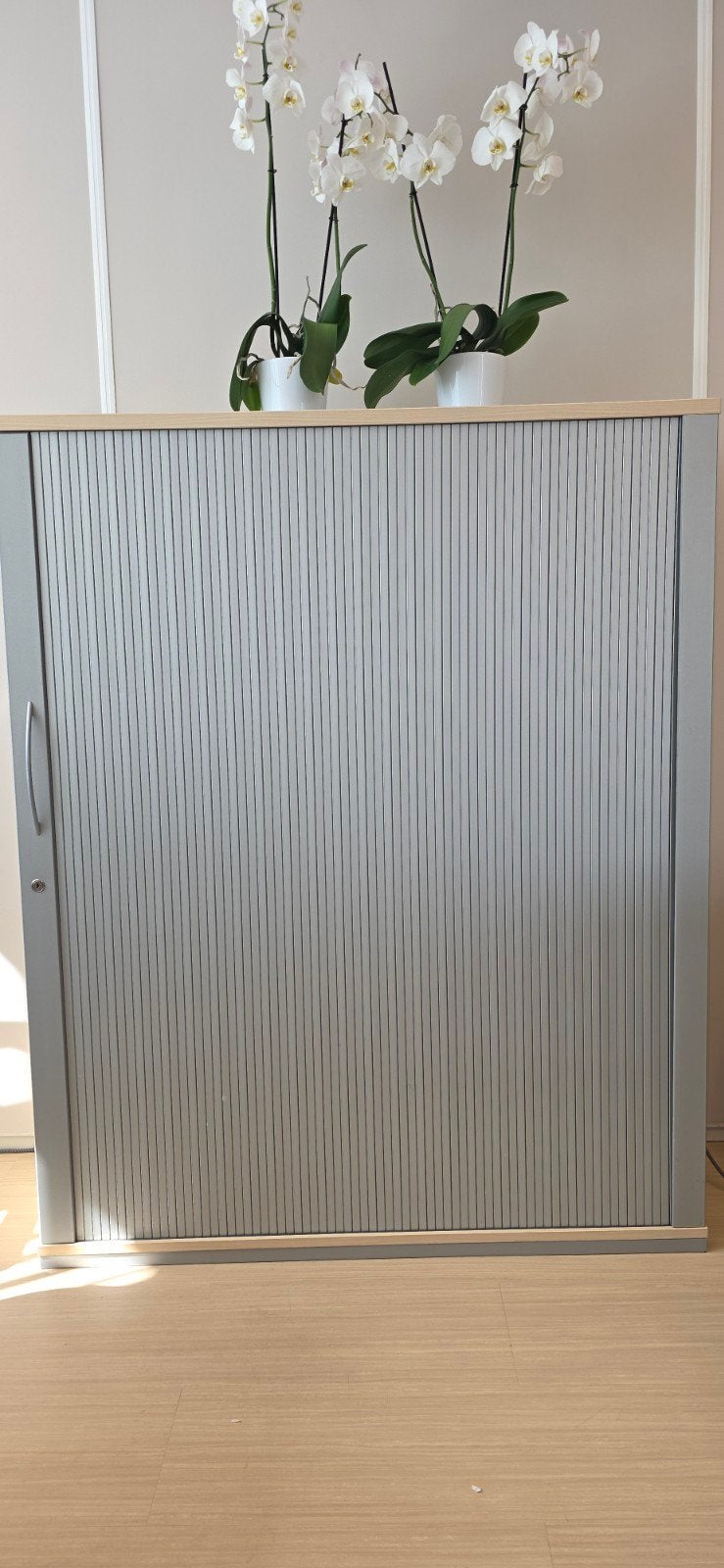 Archiefkast met roldeur en slot, 3 verplaatsbare legplanken., Huis en Inrichting, Ophalen