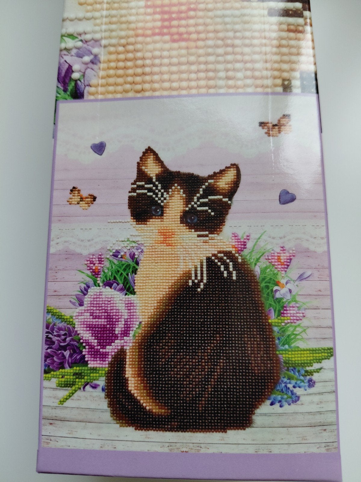 Diamond painting van zwar/ witte poes.Van Francien. Nieuw., Ophalen of Verzenden, Nieuw, Knutselwerk