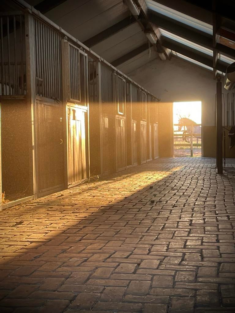 Stalhulp op onze privestal in Lunteren, Dieren en Toebehoren, Stalling en Weidegang