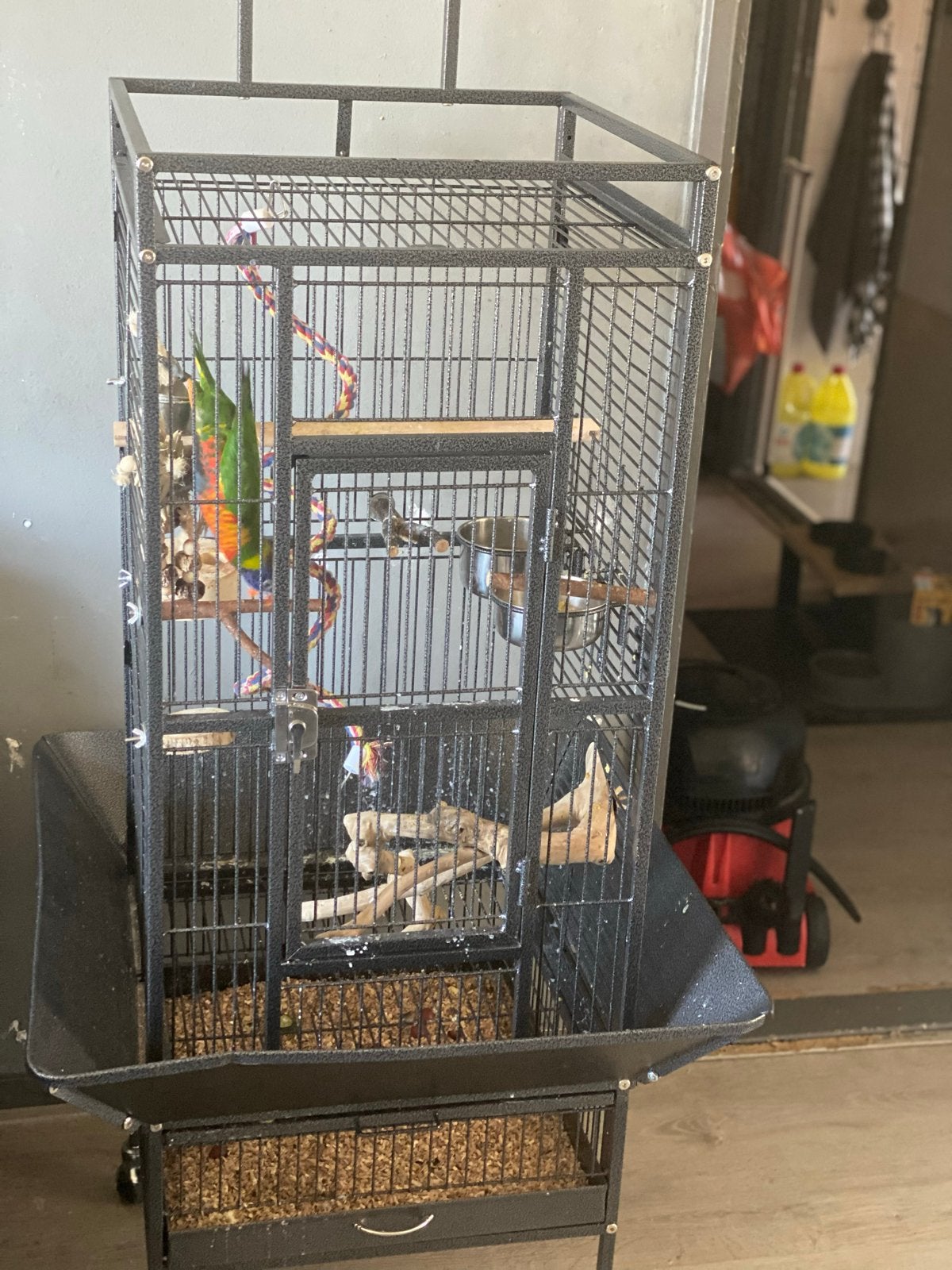 Tekoop nette papegaai kooi, Dieren en Toebehoren, Vogels | Hokken en Kooien, Ophalen of Verzenden, Metaal, Vogelkooi
