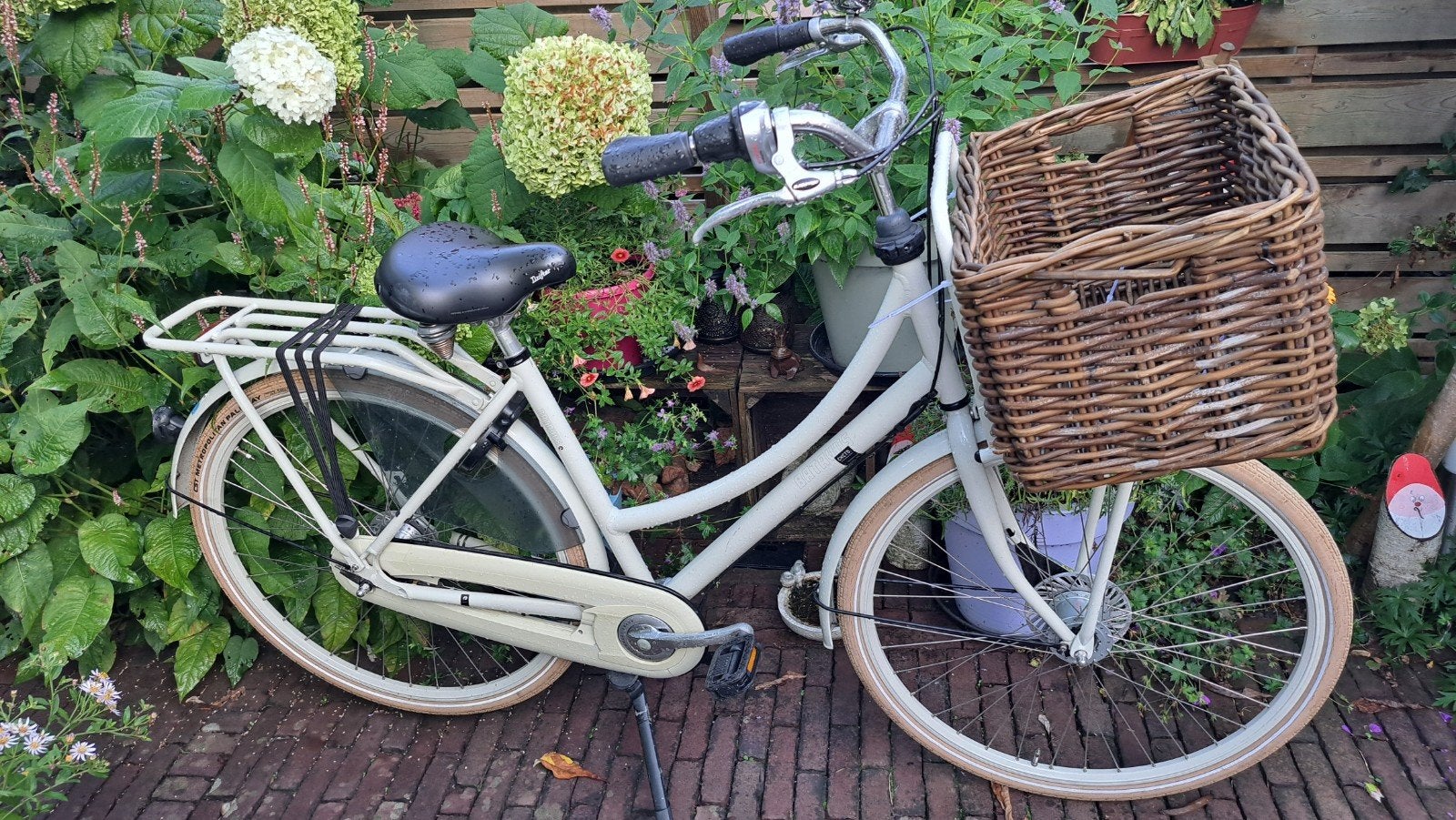 Batavus CNCTD transportfiets 49cm damesfiets, Fietsen en Brommers, Fietsen | Dames | Damesfietsen, Ophalen, 47 tot 50 cm, Versnellingen