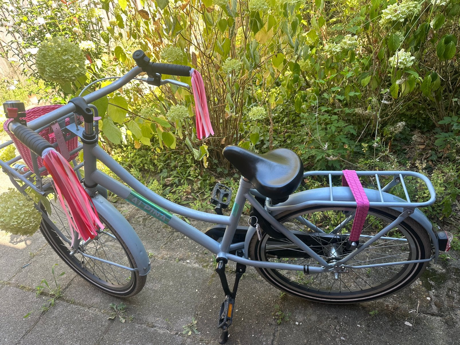 Alpina  cargo meisjesfiets 22inch – zeer nette staat, Fietsen en Brommers, Fietsen | Meisjes, Ophalen, Zo goed als nieuw, Terugtraprem