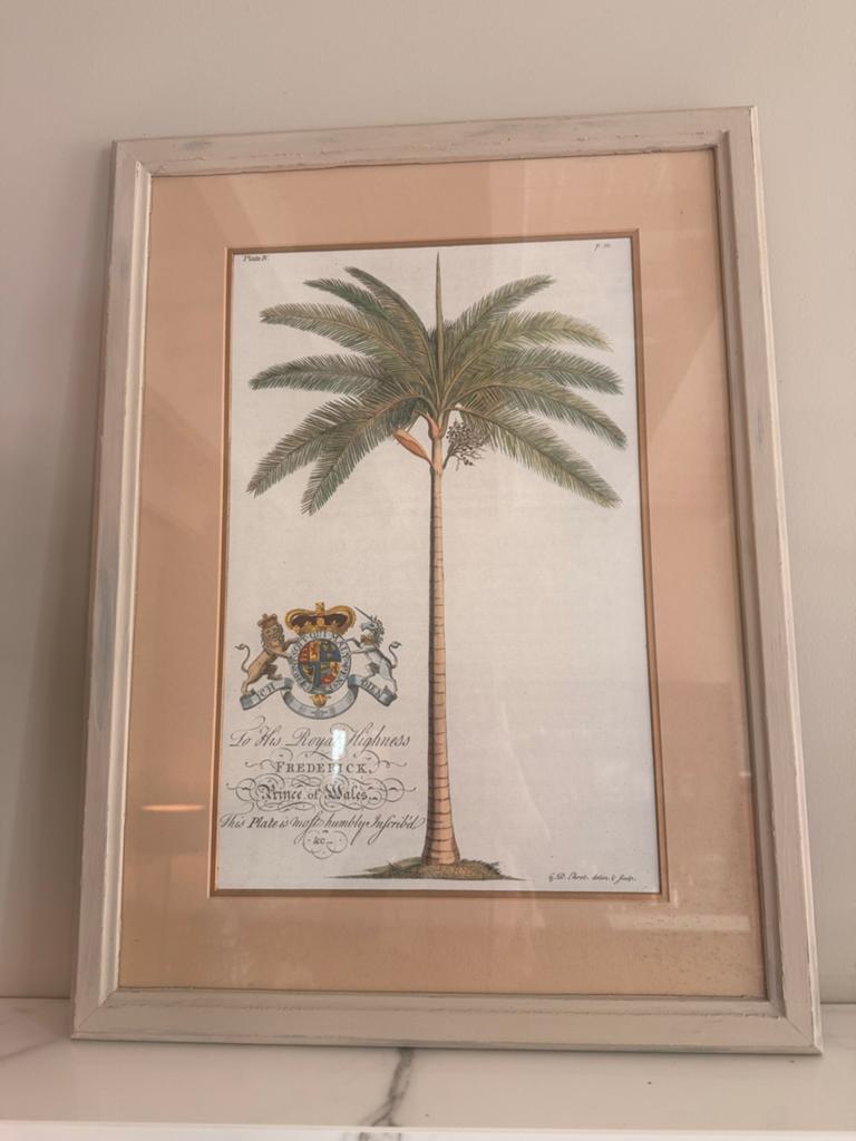 Twee prachtige palmboom schetsen, Ophalen