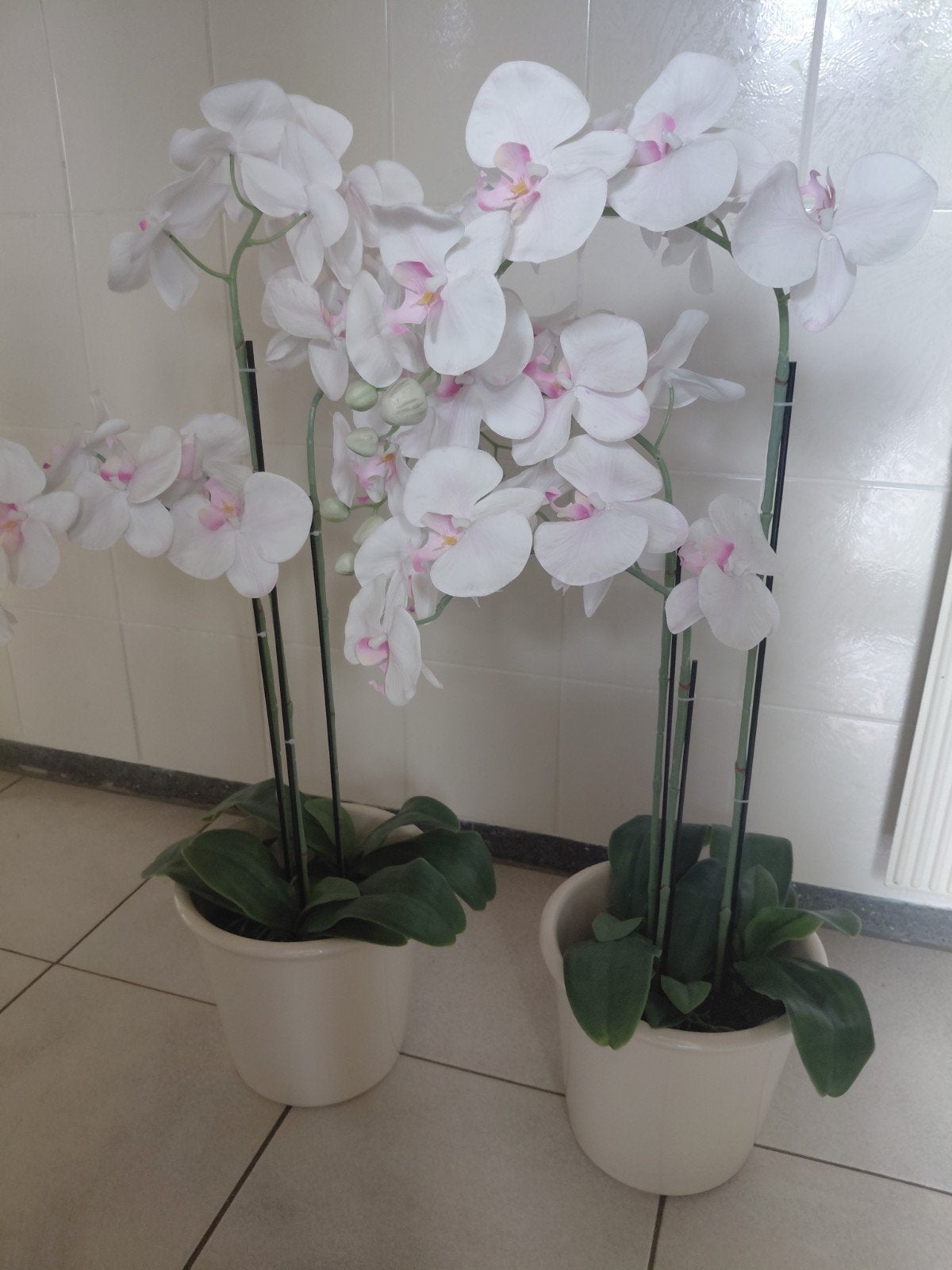 2 orchideeën kunst, Ophalen