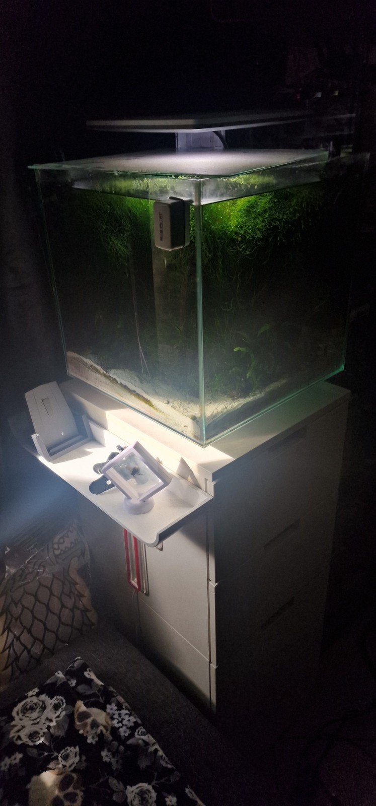 Super fish Qubiq 60, Ophalen, Leeg aquarium