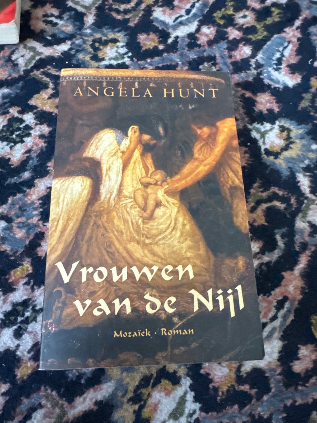 Vrouwen van de Nijl - Angela Hunt (Roman), Ophalen, Gelezen, Nederland