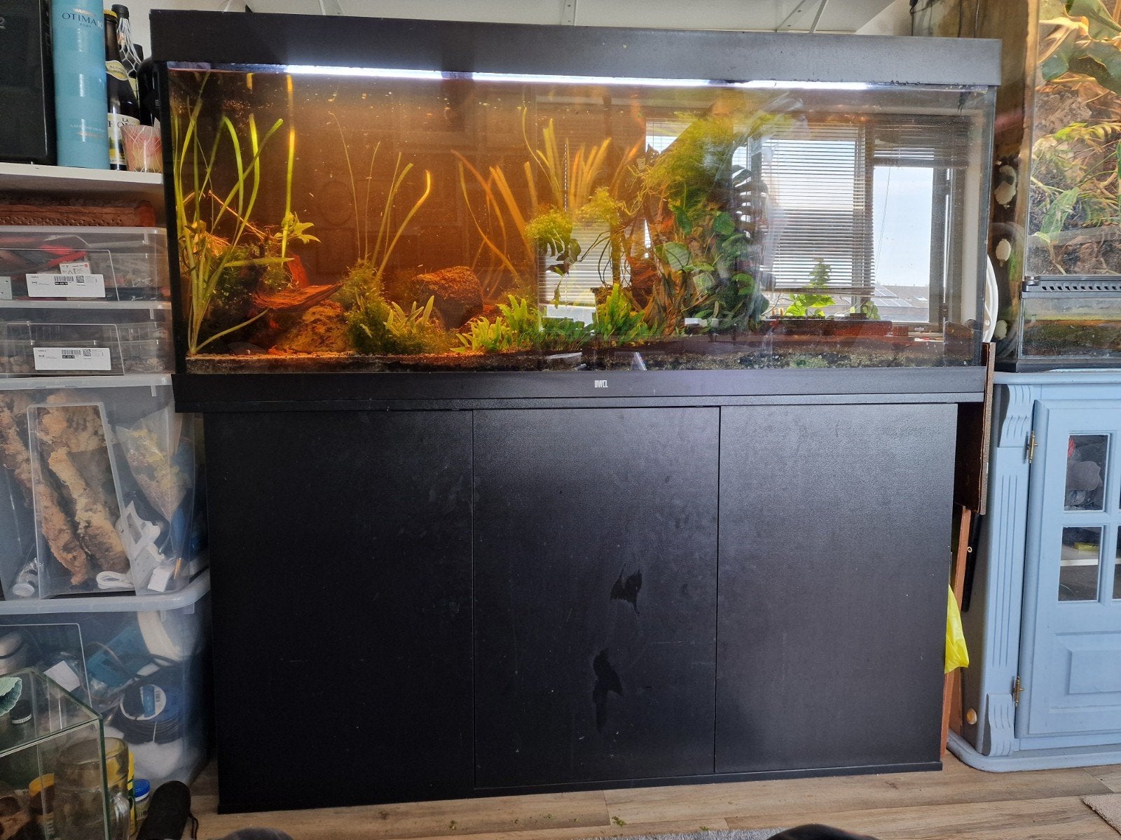 Juwel rio 450, Dieren en Toebehoren, Ophalen, Zo goed als nieuw, Gevuld zoetwateraquarium