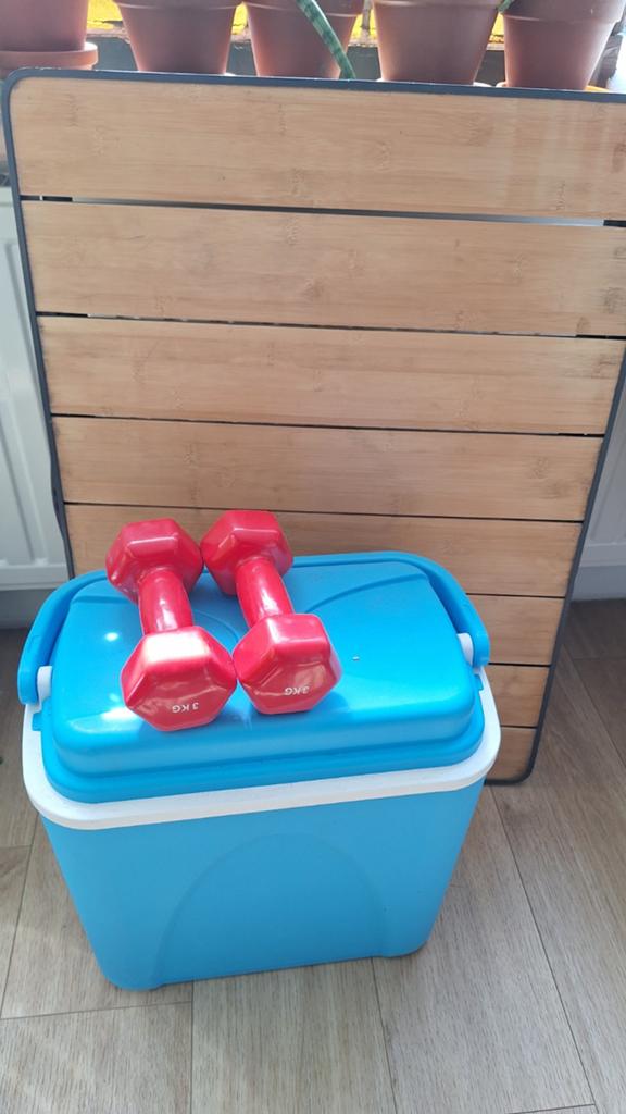 Camping set: tafel, koelbox en 2x 3kg halters, Ophalen of Verzenden, Gebruikt