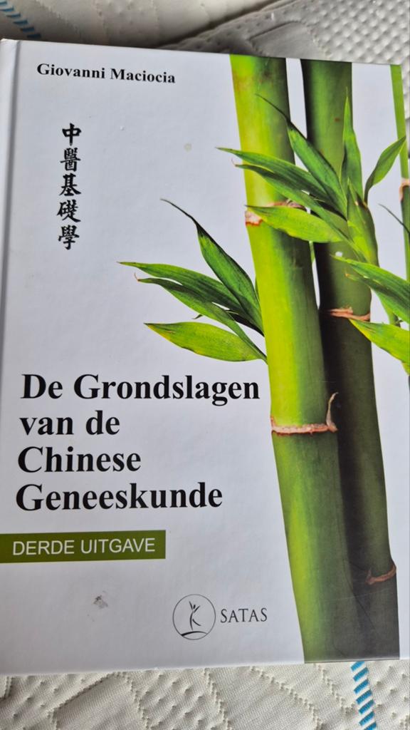 De Grondslagen van de Chinese Geneeskunde Giovanni Macioci, Ophalen of Verzenden, Zo goed als nieuw, Tekenen en Schilderen