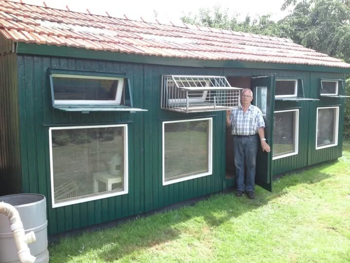 Duivenhok, Dieren en Toebehoren, Ophalen of Verzenden, Gebruikt, Vogelkooi