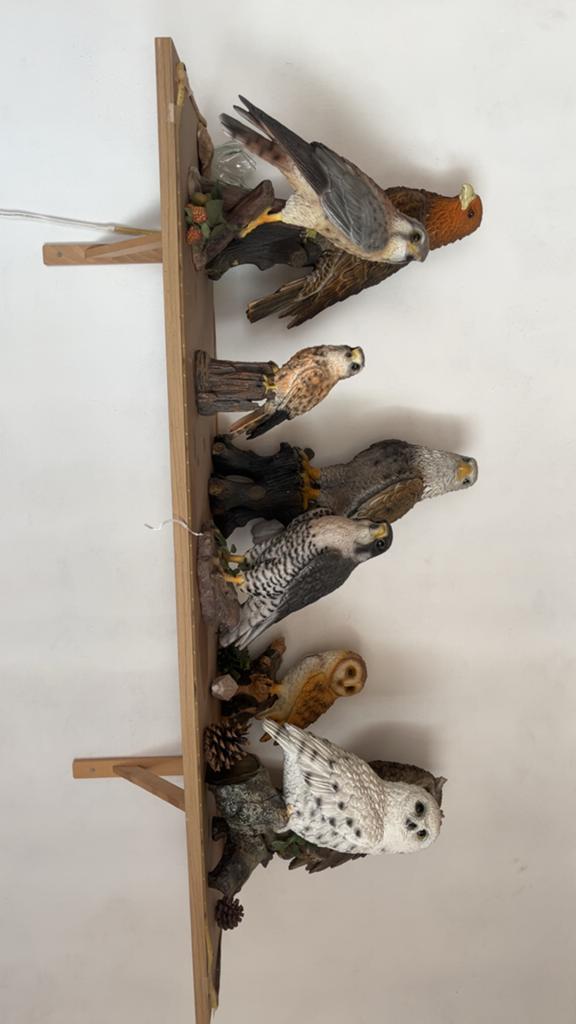 Verzameling van diverse vogelbeelden op houten plank, Verzamelen, Beelden en Beeldjes, Ophalen, Gebruikt, Dier