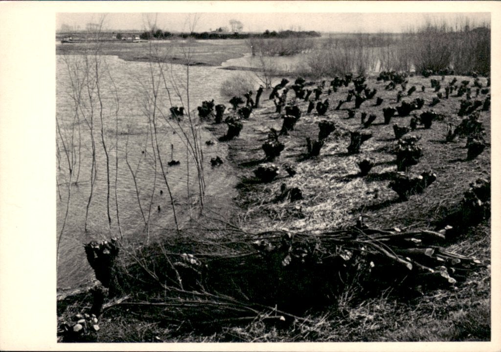 Martien Coppes. maaslandschap bij Empel, Ophalen of Verzenden, 1940 tot 1960, Ongelopen, Noord-Brabant