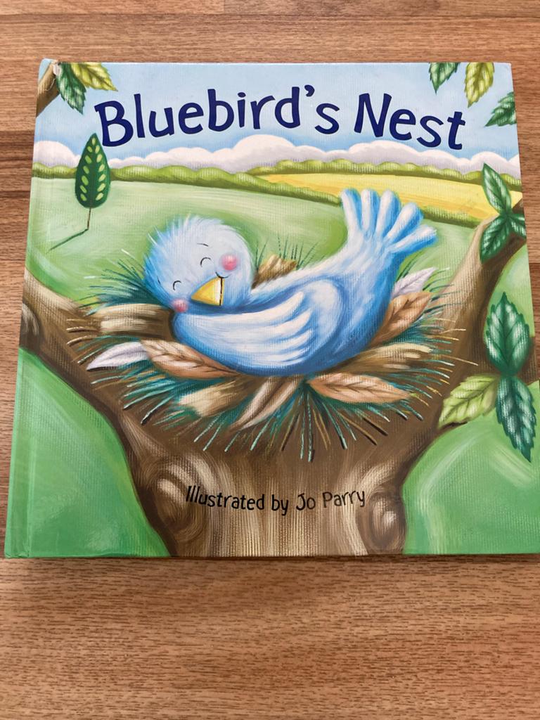Bluebird's Nest - Engels prentenboek met pop-ups, Ophalen of Verzenden, Zo goed als nieuw, Fictie