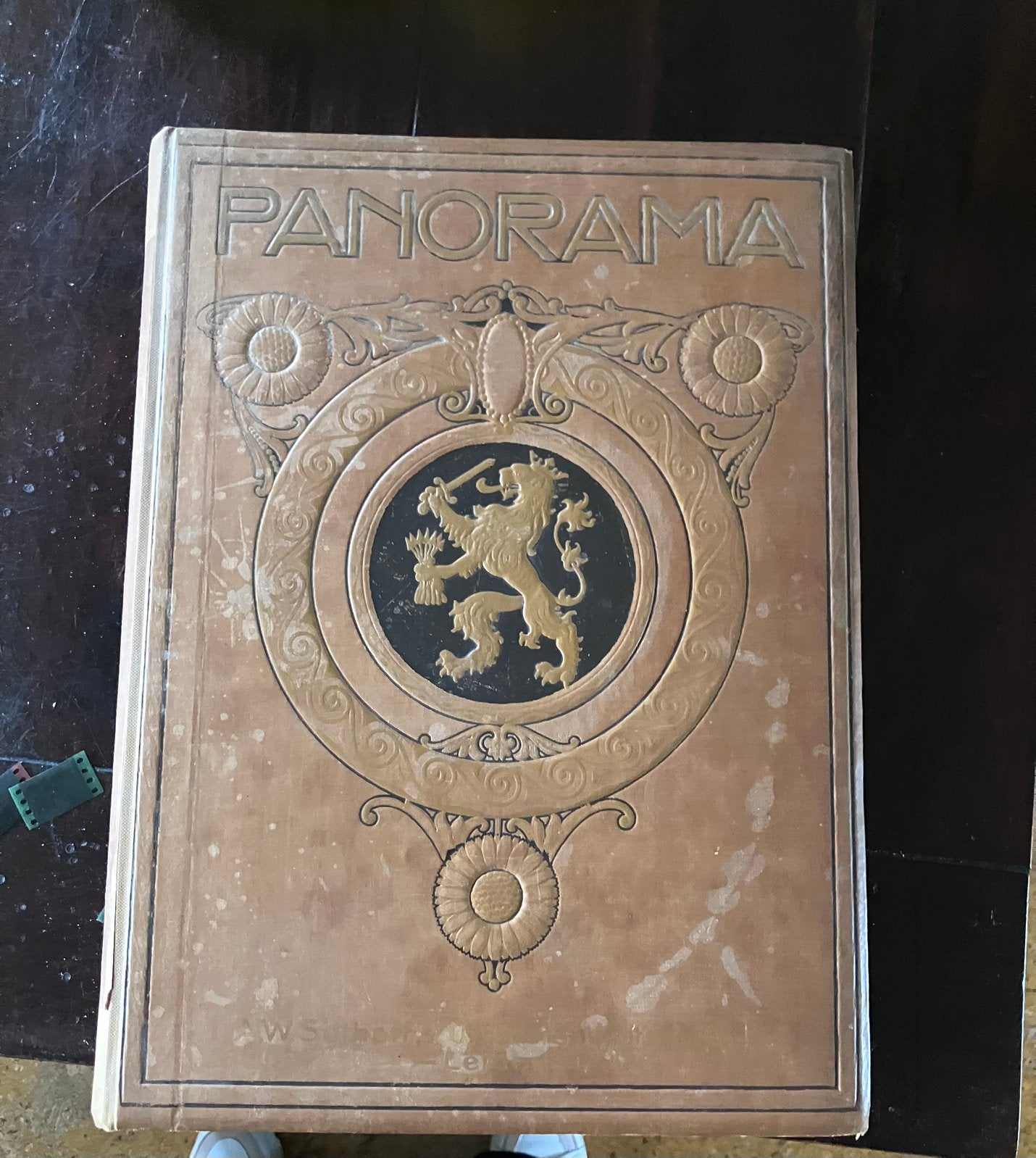 Gebundelde Panorama’s uit 1918, Boeken, Ophalen of Verzenden, Gelezen