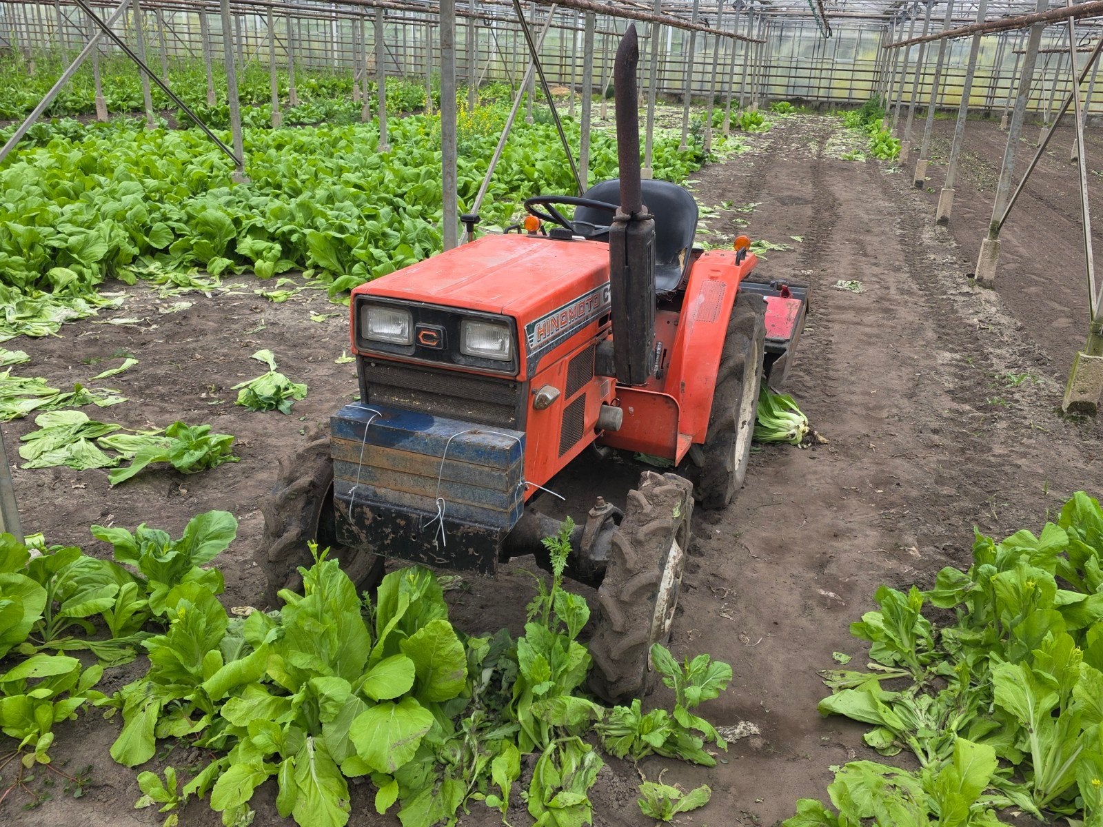 Hinomoto C174 Compact Tractor met imands vreesbak!, Gebruikt, Tot 2500, Tot 80 Pk, Ophalen