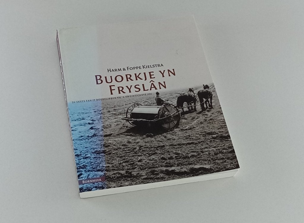 Kielstra, Harm & Foppe - Buorkje yn Fryslân / in skets fan, Ophalen of Verzenden, Gelezen