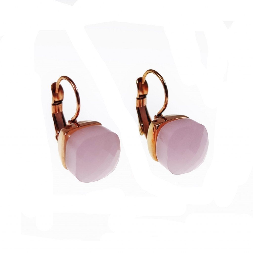 Dames Klap Oorbellen met Rose Kristal RVS Roségoudkleurig, Met kristal, Overige materialen, Hangers, Birgitta-Gracht 33, 6465 EL Kerkrade, Nederland