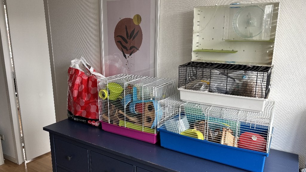 Hamster kooien, Dieren en Toebehoren, Kooi, Gebruikt, Minder dan 75 cm, Hamster