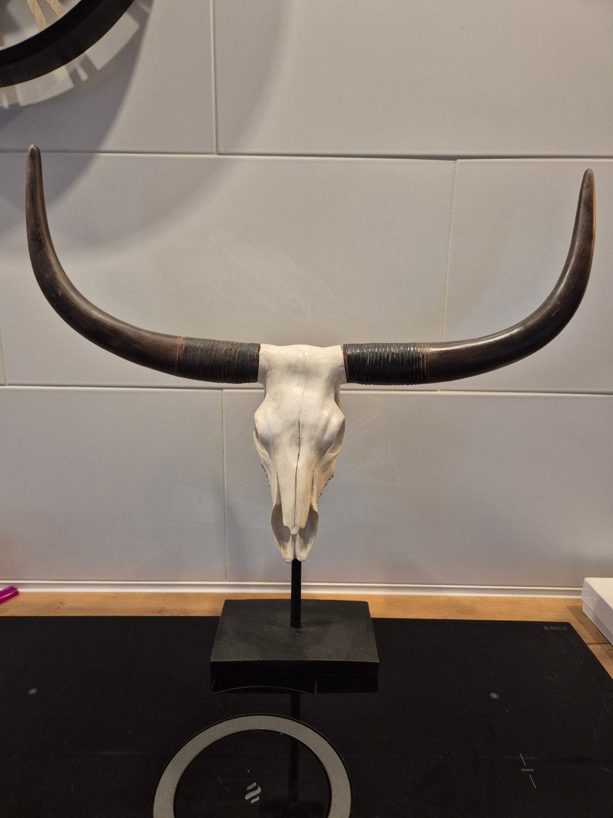 texas longhorn kunstschedel op voet, Gebruikt, Meerkleurig, Boho, Kunststof