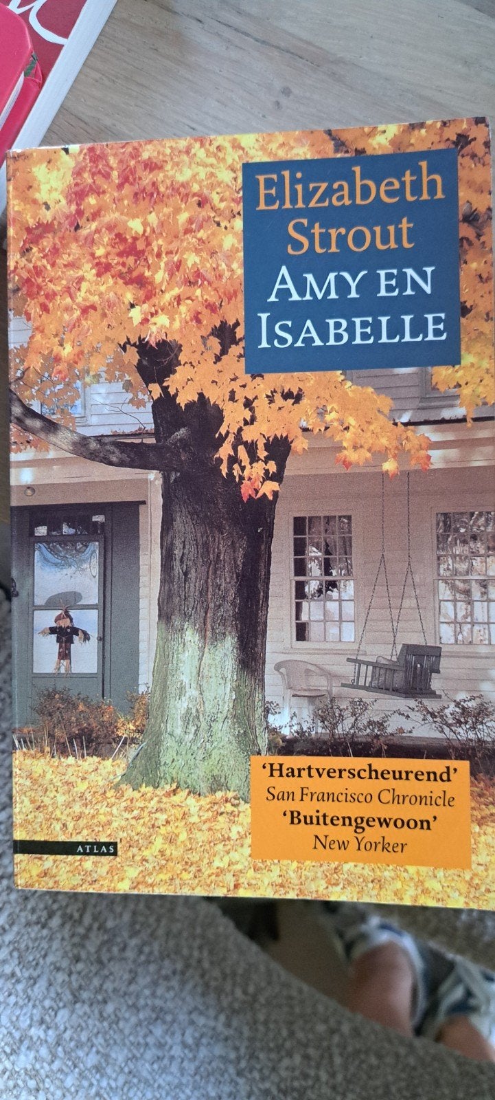 Amy & Isabelle - Elizabeth Strout (2001), Boeken, Gelezen, Ophalen of Verzenden, Elizabeth Strout, Amerika