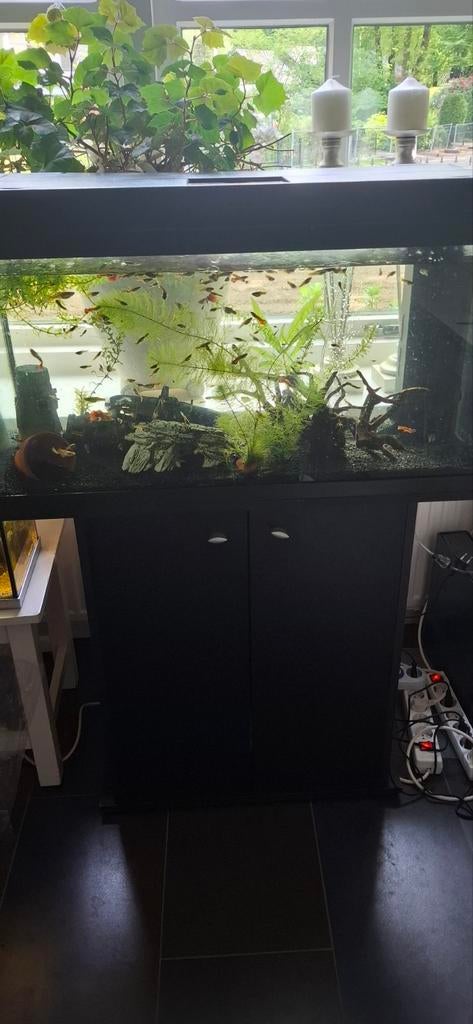 Juwel aquarium 120l, Ophalen, Inclusief deksel, Gebruikt, Juwel