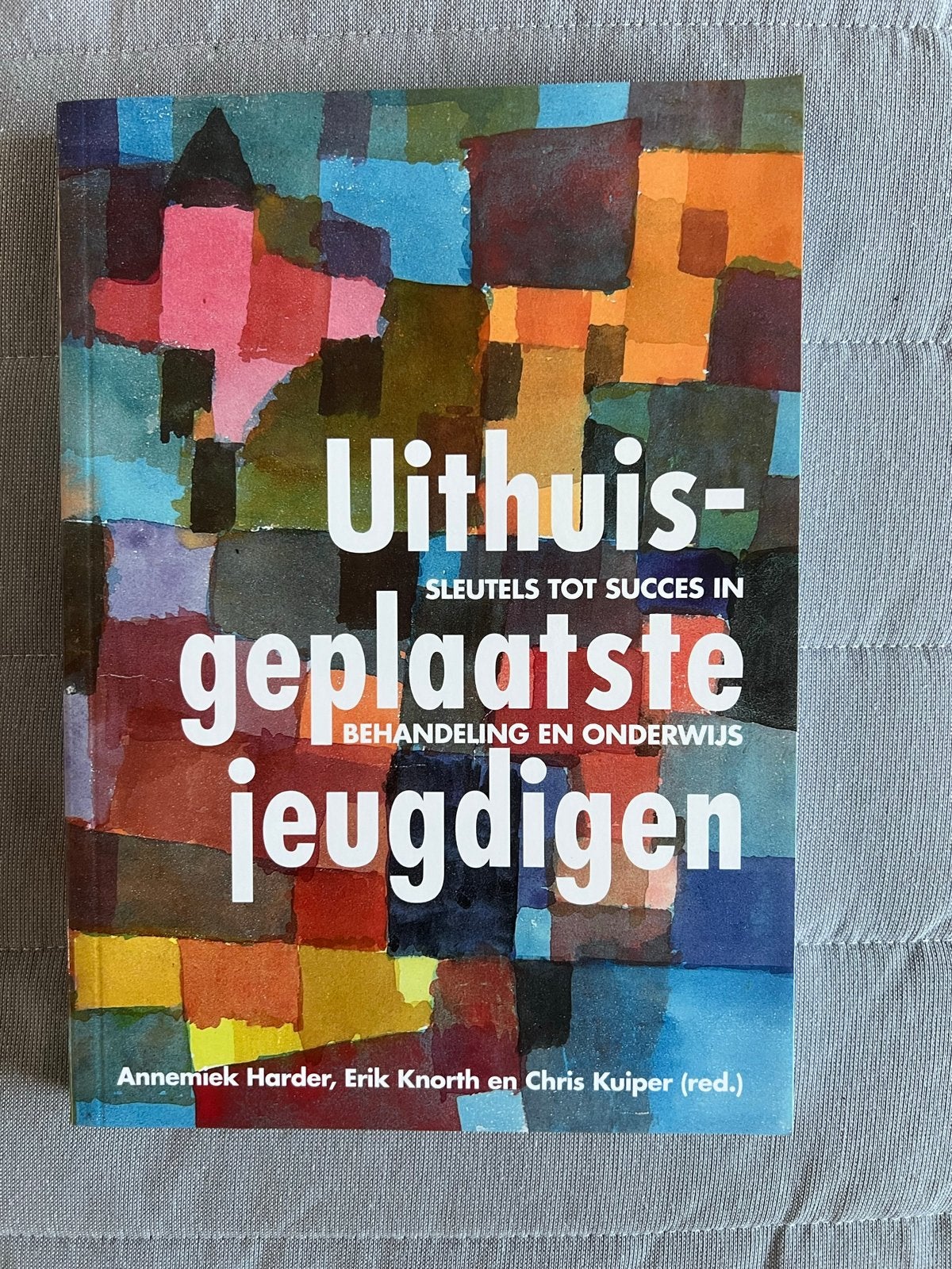 Uithuisgeplaatste jeugdigen: Sleutels tot succes, Boeken, Psychologie, Ophalen of Verzenden, Nieuw, Ontwikkelingspsychologie