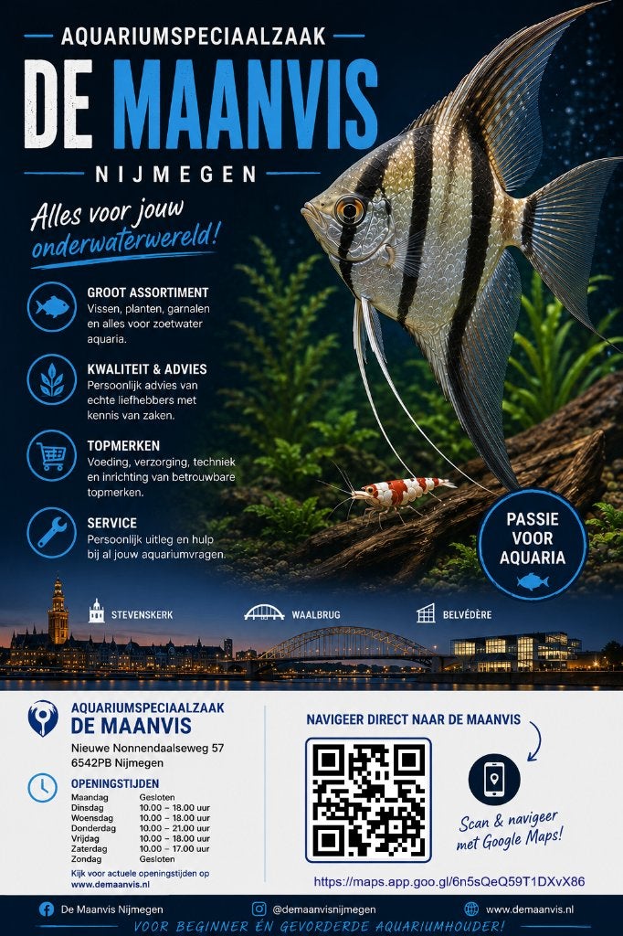 Aquariumvissen, Vis, Zoetwatervis