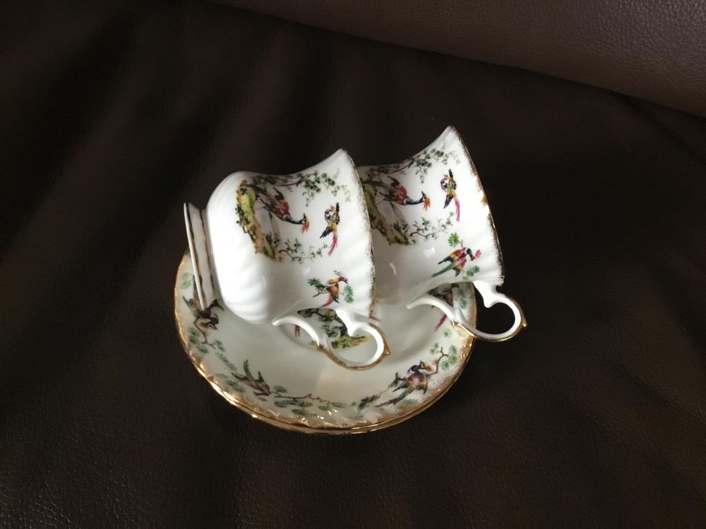 Kop en schotels, Ophalen of Verzenden, Nieuw, Porselein, Kop en/of schotel