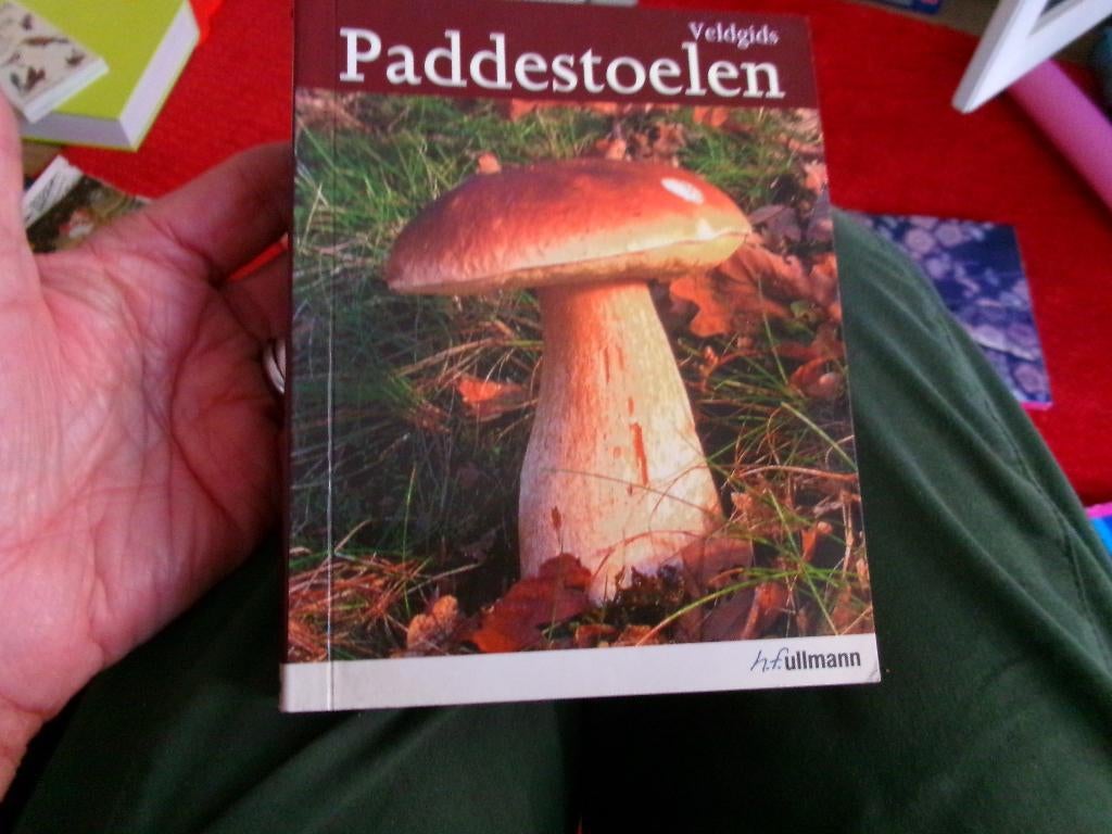 Veldgids  PADDESTOELEN, Boeken, Ophalen of Verzenden, Zo goed als nieuw, Natuur algemeen