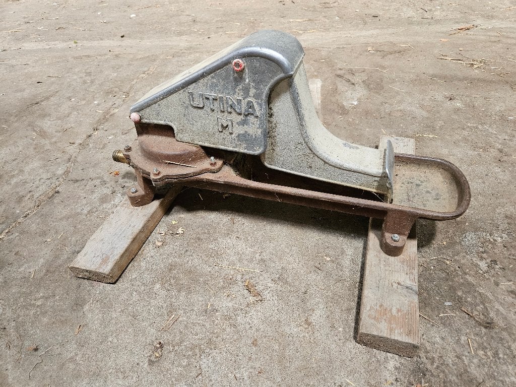 Zelfdrinker koe, Dieren en Toebehoren, Weidegang