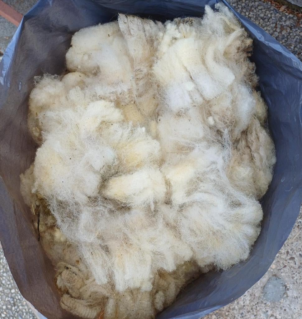 Schapenwol / vacht, Hobby en Vrije tijd, Ophalen of Verzenden, Spinwol