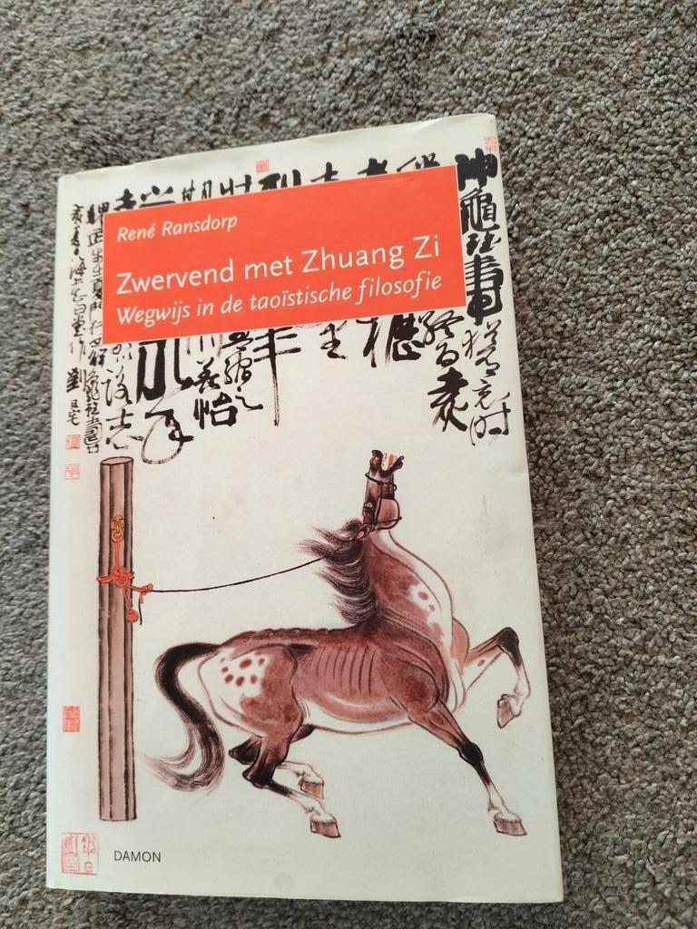 Zwerfend met Zhuang Zi - Wegwijs in de taoïstische filosofie, Boeken, Ophalen of Verzenden, Zo goed als nieuw, Wijsbegeerte of Ethiek