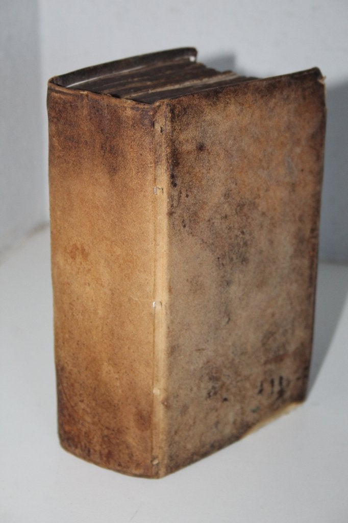 Henricus de Frein - Een strydende heilige 2 dln (perkament), Antiek en Kunst, Antiek | Boeken en Bijbels, Ophalen of Verzenden