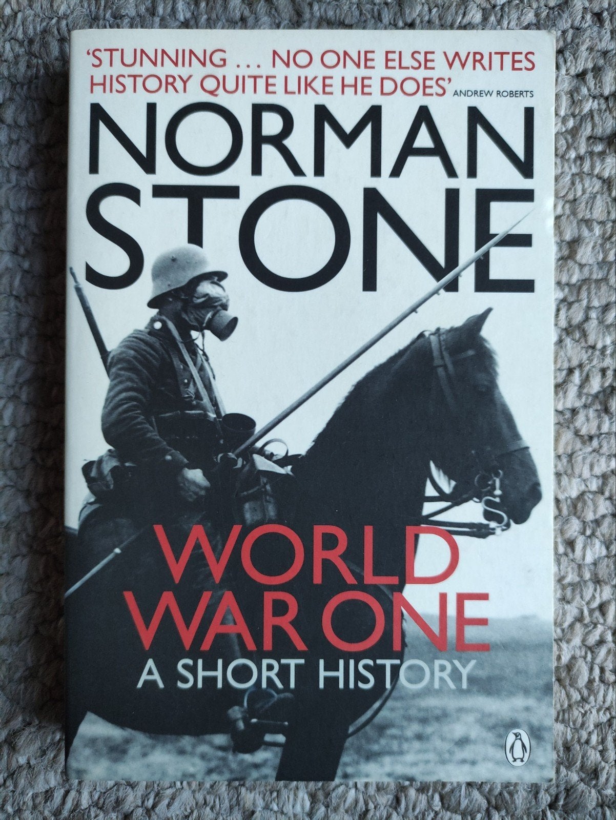 World war one a short history, Boeken, Geschiedenis | Wereld, Ophalen of Verzenden