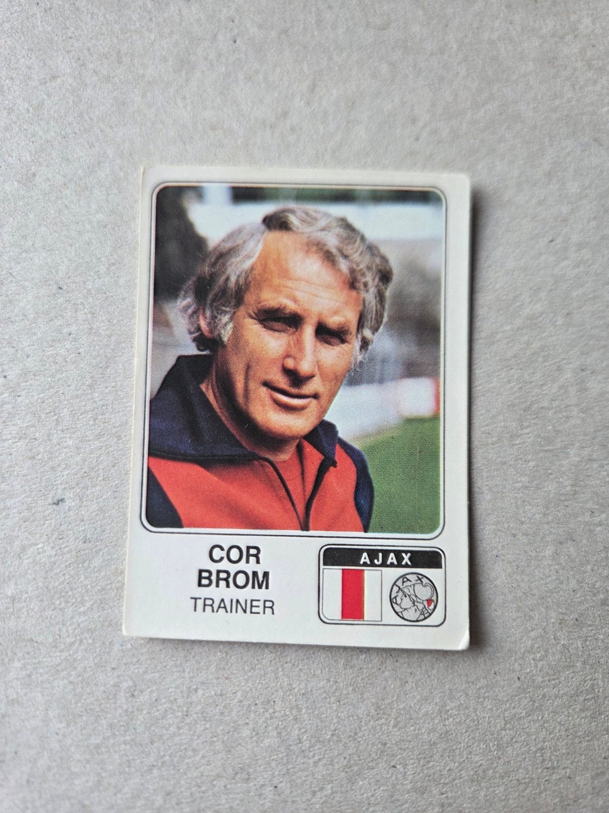 Panini Voetbal Ajax, Ophalen of Verzenden, Zo goed als nieuw, Ajax, Poster, Plaatje of Sticker