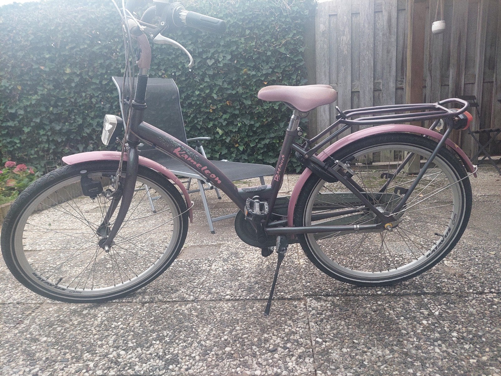 batavus kameleon