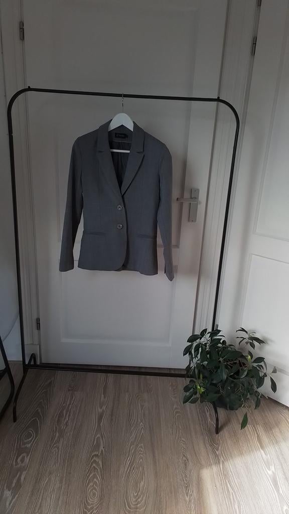 Nieuwe tijdloze Blazer merk Corel, Corel, Nieuw, Ophalen of Verzenden, Jasje