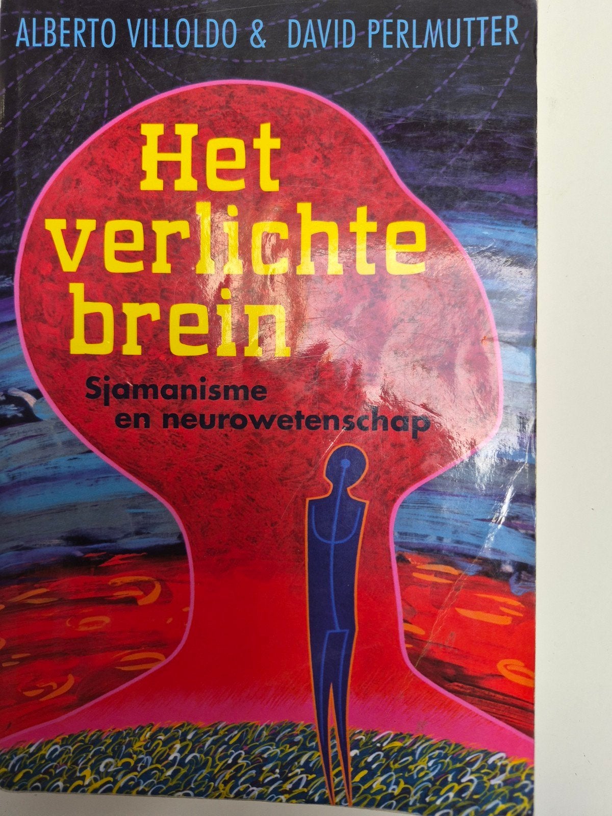 Het verlichte brein: Sjamanisme en neurowetenschap, Boeken, Ophalen of Verzenden