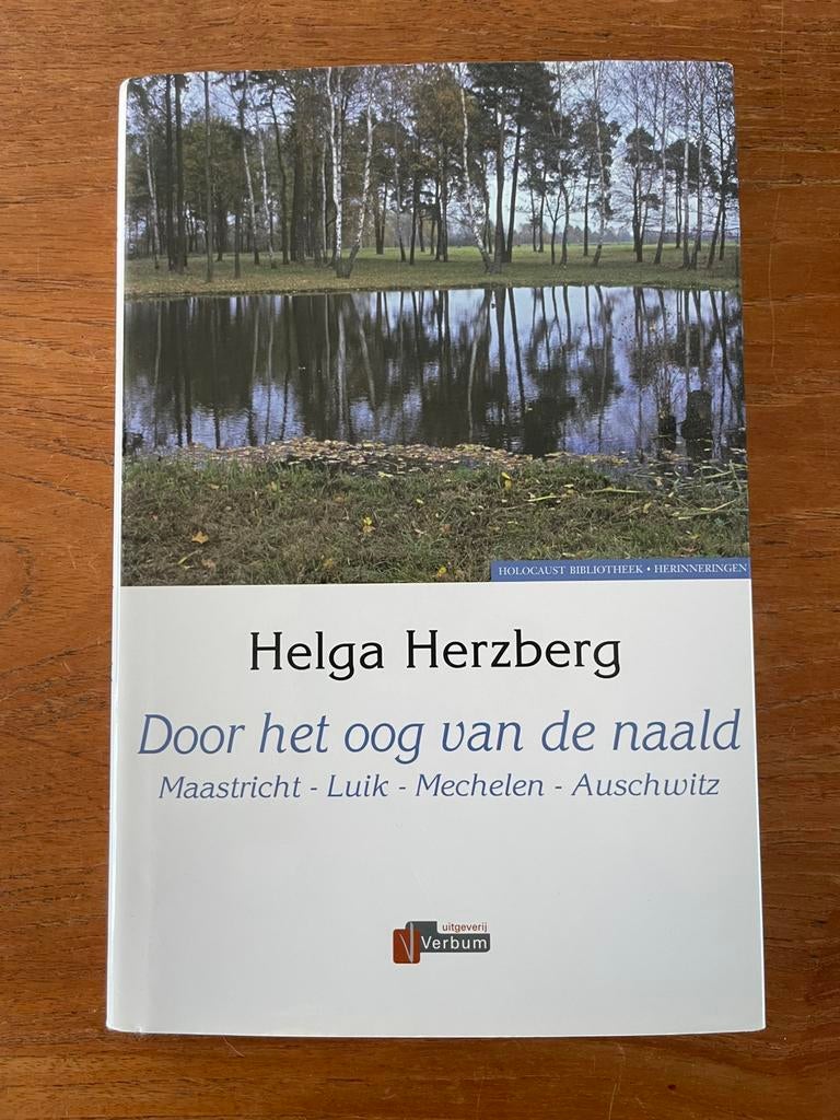 Door het oog van de naald Helga Herzberg(geboren Zilversmit), Ophalen of Verzenden, Zo goed als nieuw, Architecten