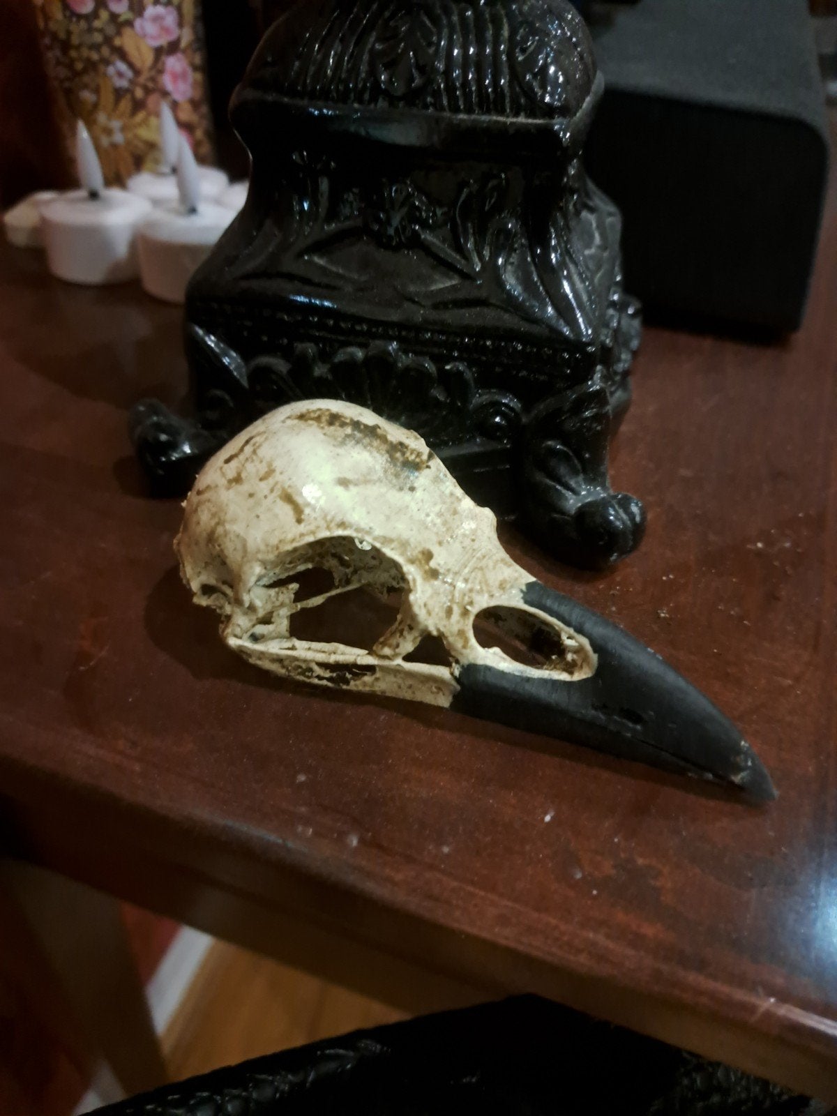 Gothic Raaf Schedel Realitiche Decoratie voor Curiosa Kast, Ophalen of Verzenden