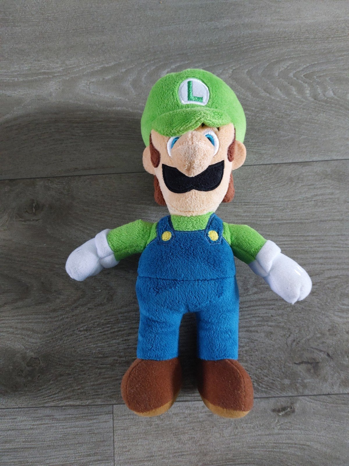 Mario en Luigi knuffels - Nintendo Super Mario Bros, Ophalen, Overige typen, Zo goed als nieuw, Nintendo