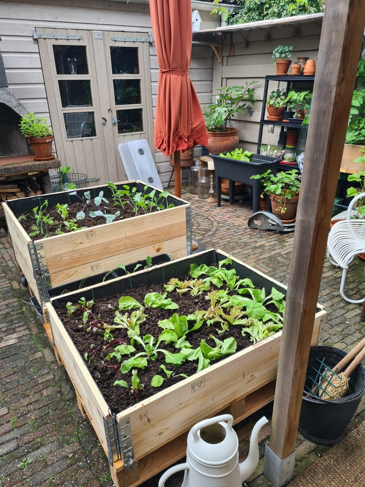 Palletranden 80x100 voor moestuin kweekbak plantenbak, Tuin en Terras, Kweekspullen, Zo goed als nieuw, Kweekbak, Ophalen